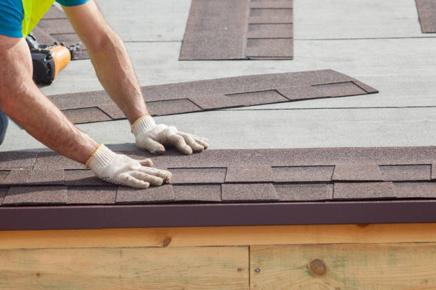Best Skylight Installation and Repair  in Moorhead, MS